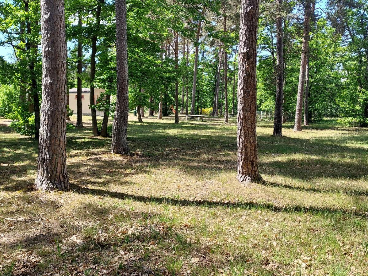 Camping Onlycamp Les Pins Nancay Экстерьер фото