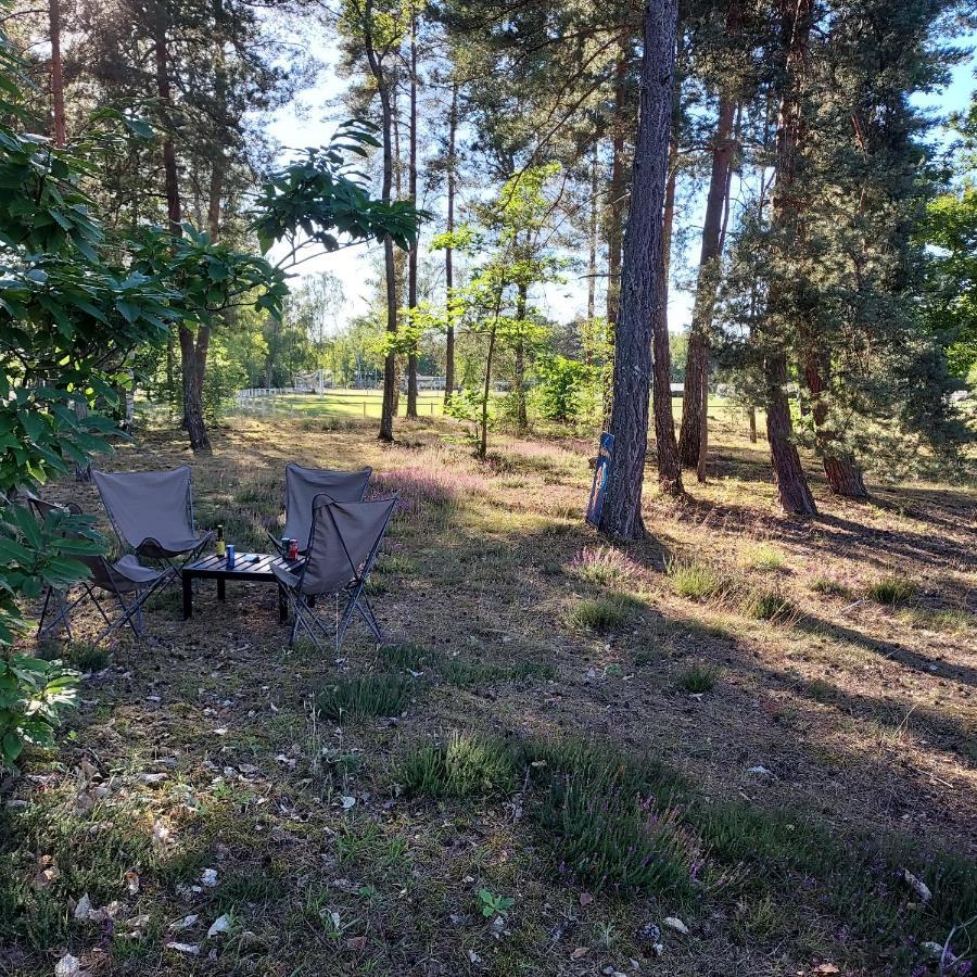 Camping Onlycamp Les Pins Nancay Экстерьер фото